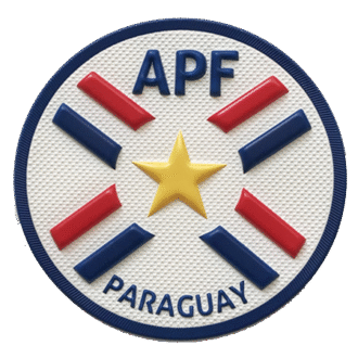 Customizable APF Paraguay 3D PVC Rubber Patch - National Emblem Iron-On/Sew-On Badge for Apparel, Branding & Collectibles